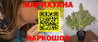mdpv Усть-Джегута