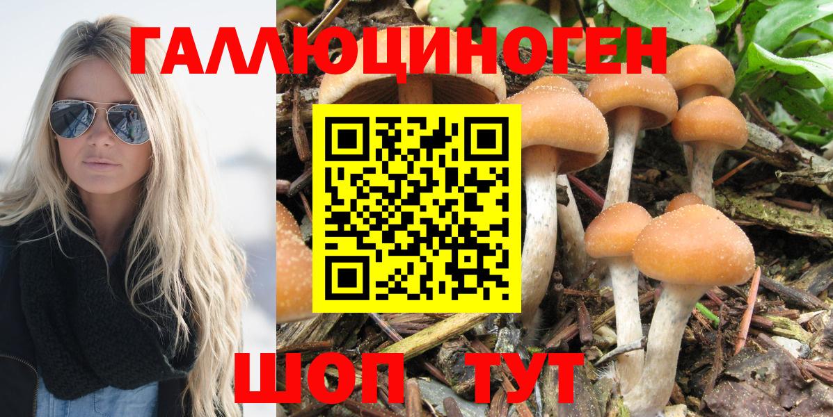 Новокубанск  Галлюциногенные грибы GOLDEN TEACHER  Псилоцибиновые грибы MAGIC MUSHROOMS  Вход с VPN 
